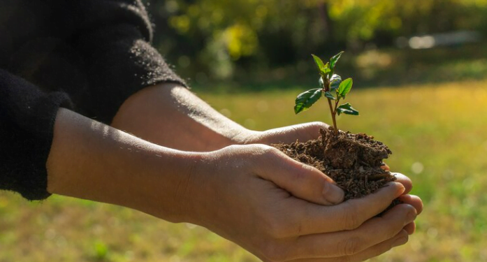 Perico inicia proyecto de arborización: «Mi Árbol y Yo»