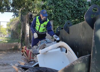 La lucha contra el dengue no para