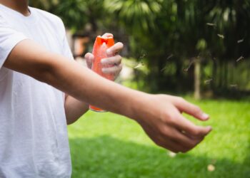 Dengue: Jujuy mantiene el arco en cero