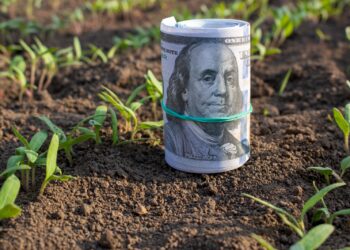 Herramientas financieras para la producción jujeña