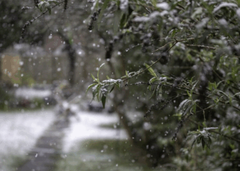 Nevadas sorprendieron a localidades de la Puna jujeña