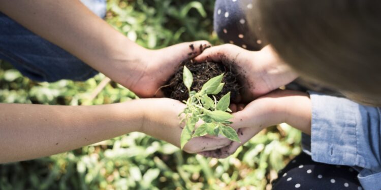 Escuelas se ponen de pie ante el cambio climático