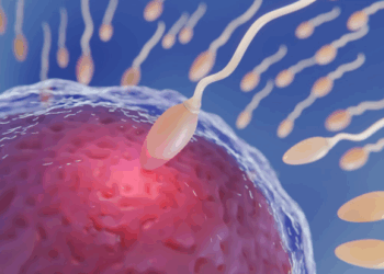 La sífilis preocupa a los médicos por su fuerte aumento en adolescentes y adultos