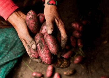 Advierten sobre riesgos en el hogar ante la ola polar: piden extremar precauciones con calefacción