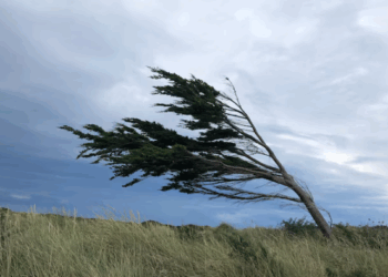 Fin de Cuota Simple: empresas privadas toman la posta y lanzan planes de hasta 12 cuotas con tarjeta