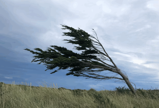 Fin de Cuota Simple: empresas privadas toman la posta y lanzan planes de hasta 12 cuotas con tarjeta