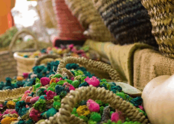 La ANMAT y el SENASA tomarán control total del Código Alimentario tras la disolución de la CONAL