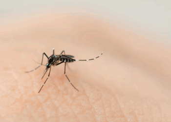 Jujuy marcará un hito nacional con la primera oficina judicial para la niñez