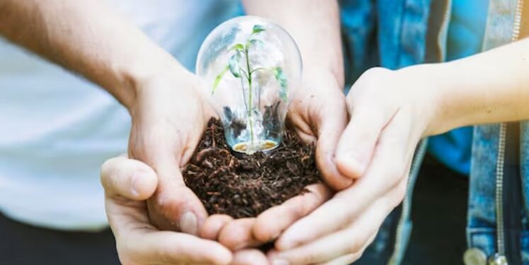 Se producirá energía eléctrica limpia para toda la provincia